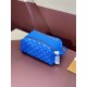 LV BAGS