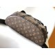 LV Backpack