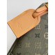 LV Backpack