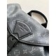 LV Backpack