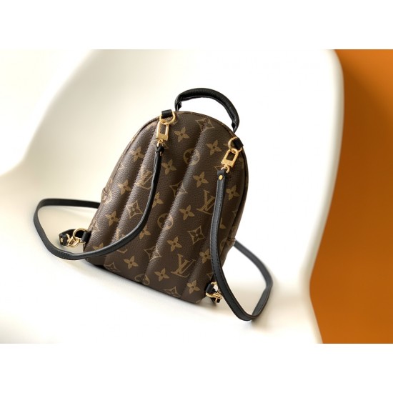 LV Backpack