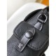 LV Backpack