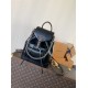 LV Backpack