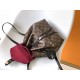 LV Backpack