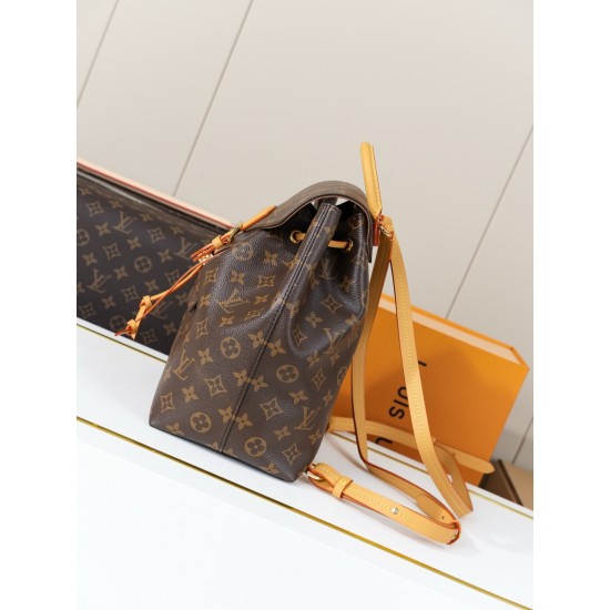 LV Backpack