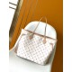 LV Neverfull