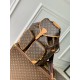 LV Backpack