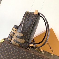 LV Backpack