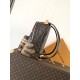 LV Backpack
