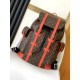 LV Backpack