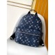 LV Backpack