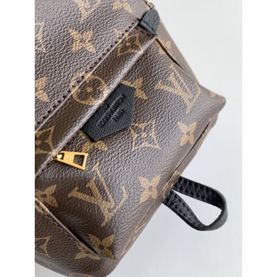 LV Backpack