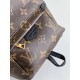 LV Backpack