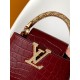 LV Capucines