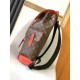 LV Backpack