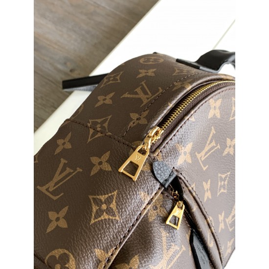 LV Backpack
