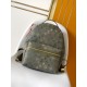 LV Backpack