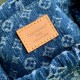 LV Backpack