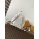 LV Backpack
