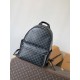 LV Backpack