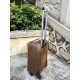 LV travel suitcase