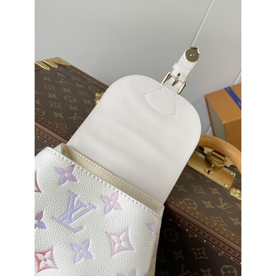 LV Backpack