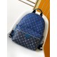 LV Backpack