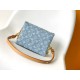 LV Coussin