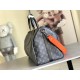 LV BAGS