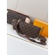 LV Pochette