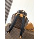 LV Backpack