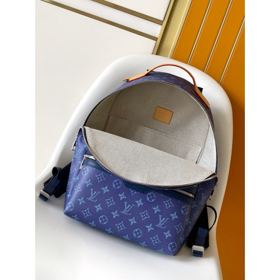LV Backpack