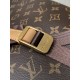 LV Backpack