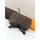 LV Backpack