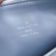 LV Coussin