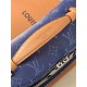 LV BAGS