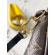 LV Pochette