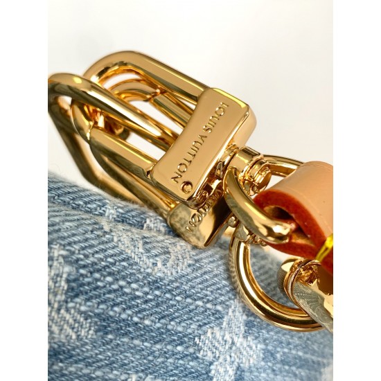 LV Coussin