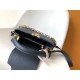 LV Capucines