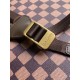 LV Backpack