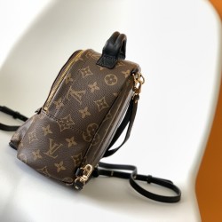 LV Backpack