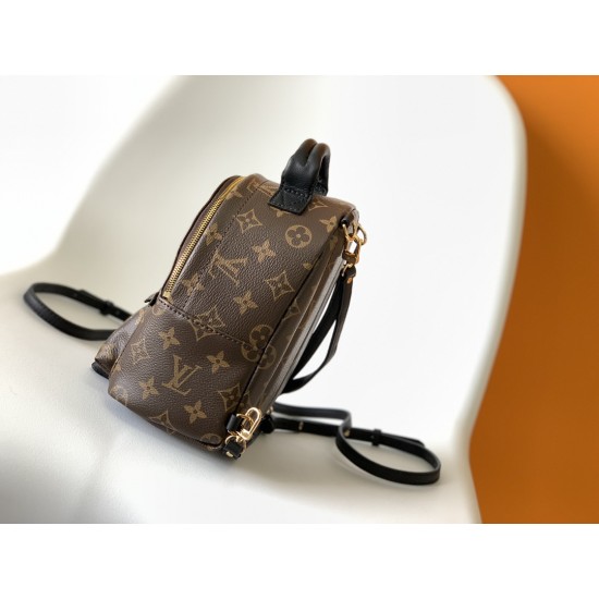 LV Backpack