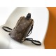 LV Backpack