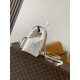 LV Backpack