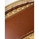 LV Pouch
