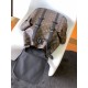 LV Backpack