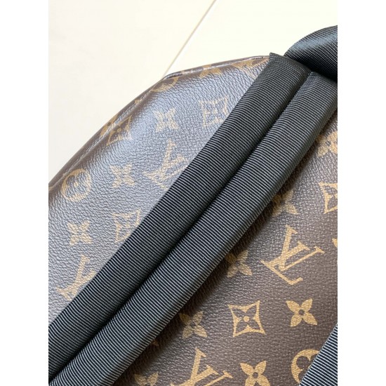 LV Backpack