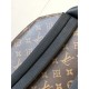LV Backpack