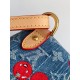 LV Backpack