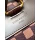 LV Backpack